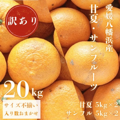 甘夏&サンフルーツ各10kg【訳あり】【F20-85】【1625136】