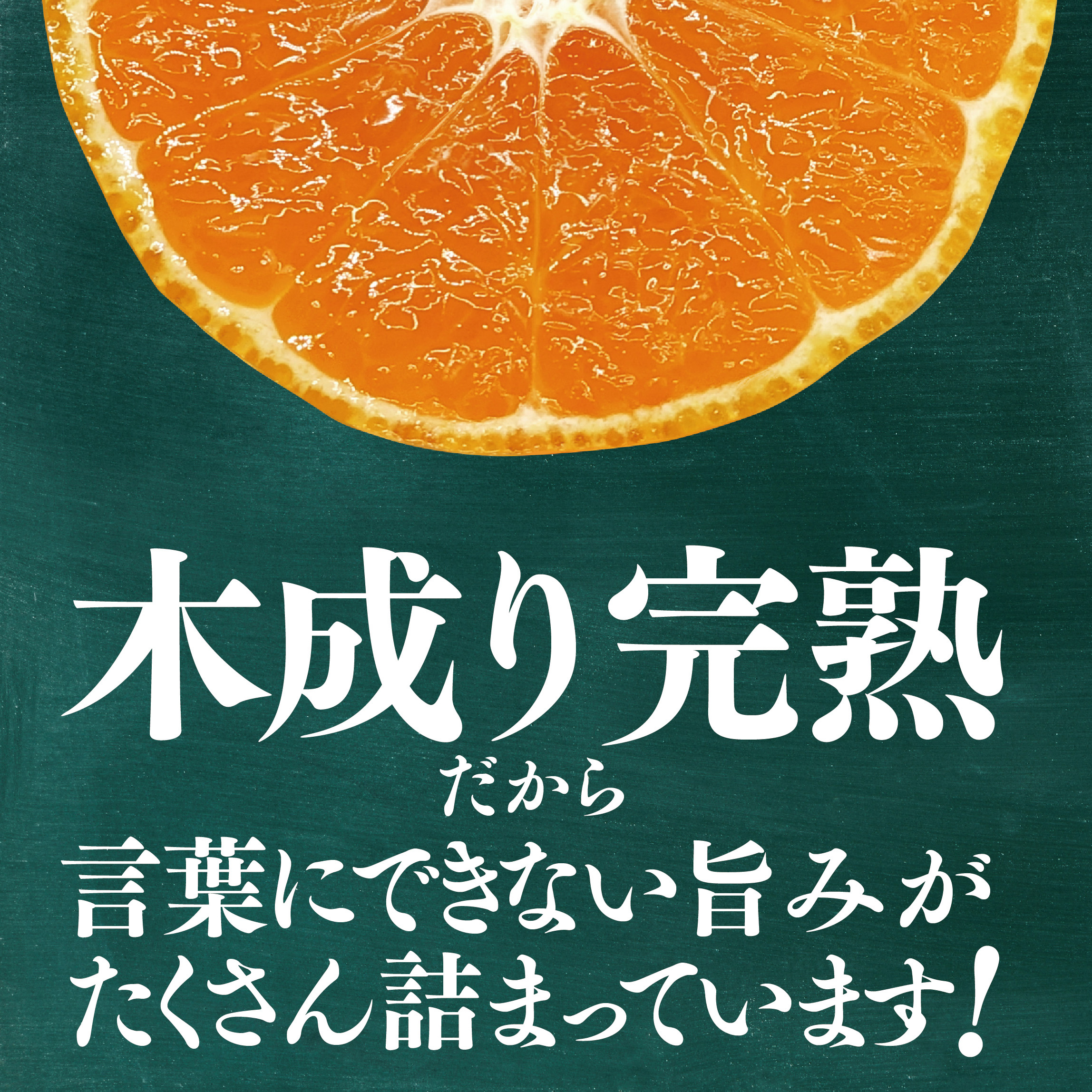 【訳あり】星乃みかん園の星乃みかん(5kg)【A45-98】【1650693】 YWTAZ060