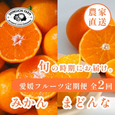 【発送月固定定期便】愛媛フルーツ旬の柑橘 みかん・まどんな 各3kg【G70-78】全2回【4067785】
