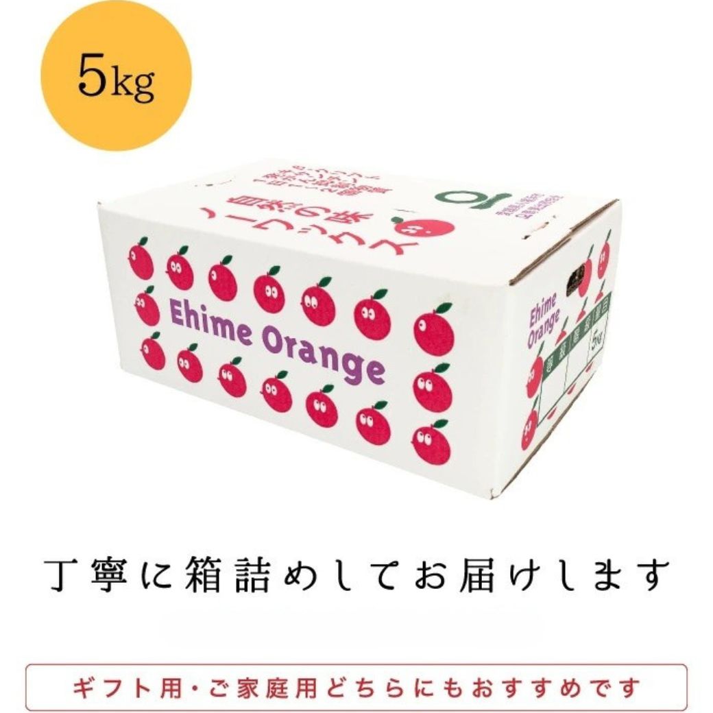 ã嵿¥85幎 芪å4代 æåªã¿ãã äžçãæåªå
«å¹¡æµç£ 極æ©çã¿ãã 5kgãC20-43ãã1594908ã YWTI038