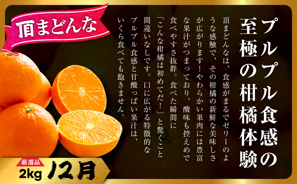 【発送月固定定期便】美味しいみかん柑橘のある暮らし【みかん・まどんな・きよみ】【G31-42】全3回【4058603】 YWTAC031