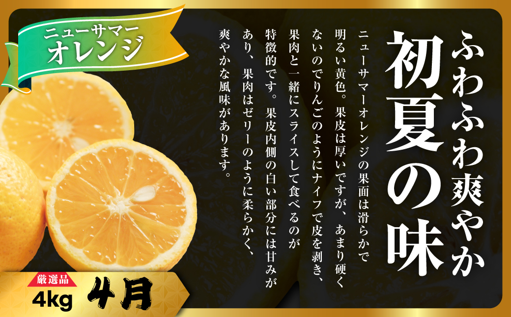 【発送月固定定期便】柑橘【みかん・まどんな・せとか・ニューサマーオレンジ】【H31-46】全4回【配送不可地域：離島】【4058612】 YWTAC035