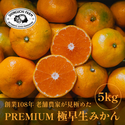老舗農家が見極めたプレミアム【極早生みかん5kg】愛媛県川上産【C70-34】【1536337】