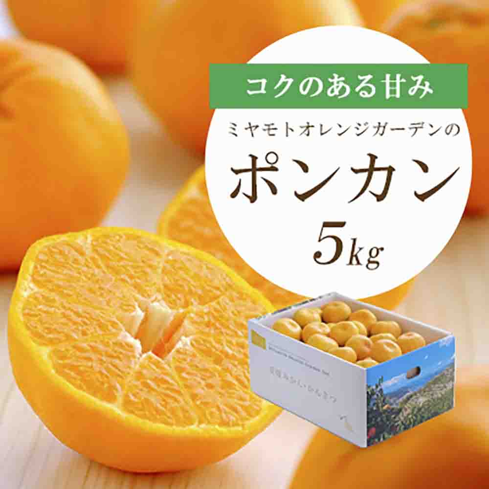 【先行受付】愛媛の新春柑橘 芳醇な香りのポンカン5kg【D25-124】【1248058】 YWTAP067