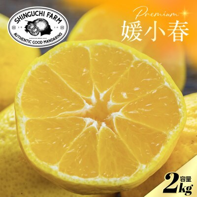 【数量限定】老舗農家が見極めたプレミアム【媛小春2kg】 愛媛県新品種【C70-99】【1671387】