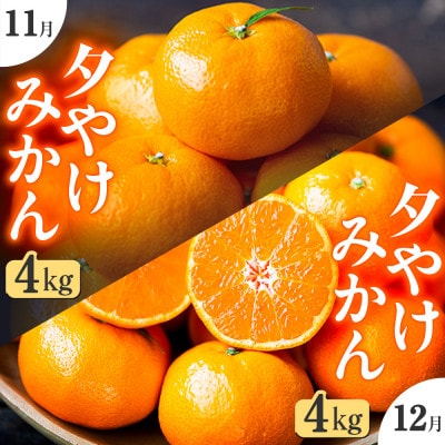 【発送月固定定期便】「こたつの上の冬物語」夕やけみかん(4kg)【F49-71】全2回【4056122】
