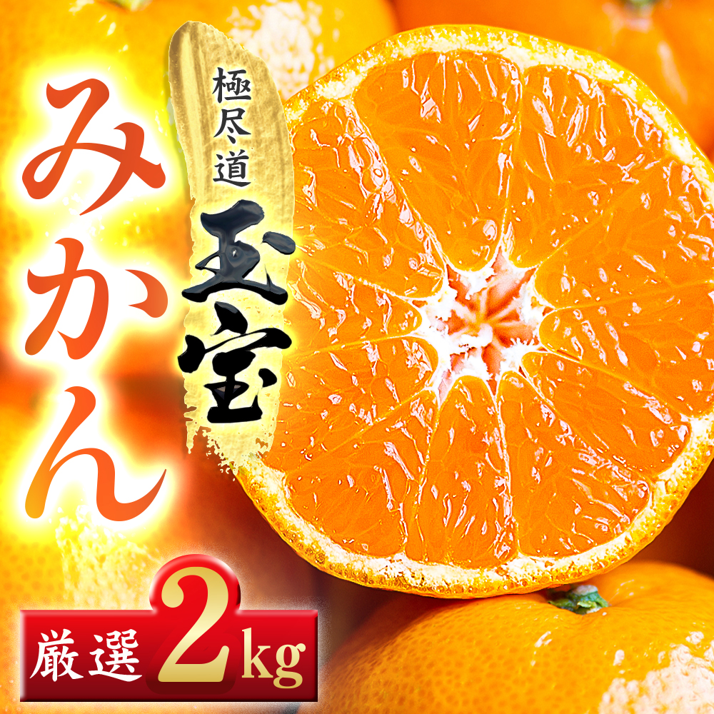 【愛媛名産】玉宝みかん 2kg【A64-84】【1623967】 YWTY073