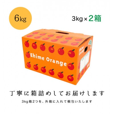 糖度11.0以上　国安さんちの厳選小玉みかん 6kg(3kg×2箱)【F20-29】【1323624】