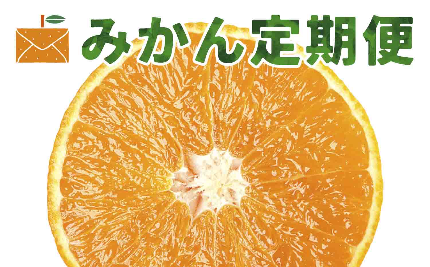 【発送月固定定期便】高級柑橘定期便【H33-42】全3回【4053141】 YWTG024