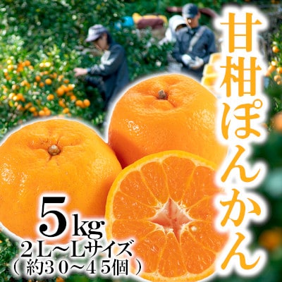 「甘柑ぽんかん」5kg/2LまたはLサイズ/【C79-22】【1474166】