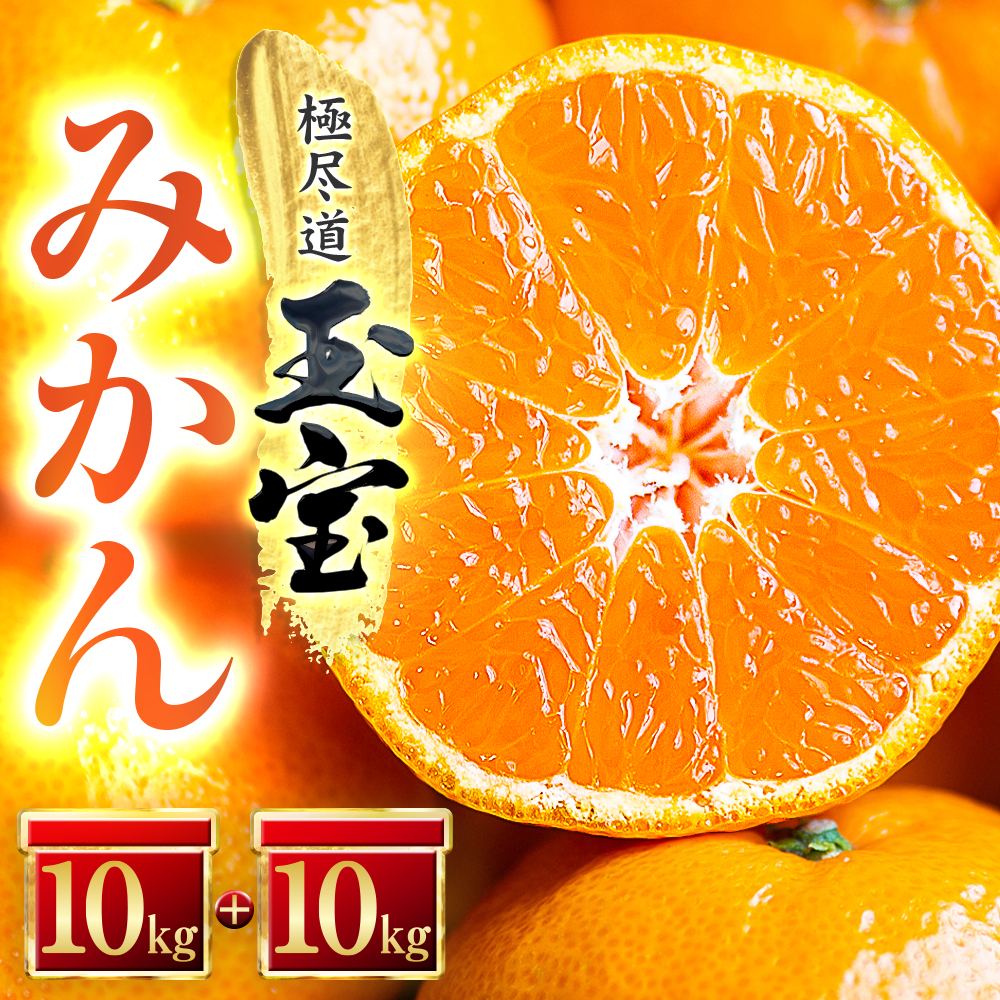 【愛媛名産】玉宝みかん 20kg【H64-28】【1510744】 YWTY017