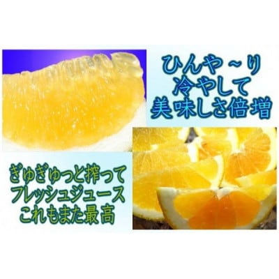 æåªçå
«å¹¡æµç£ã»ãžã¥ãŒã·ãŒãªã¬ã³ãž10kgãšææ©100%ã¹ãã¬ãŒããžã¥ãŒã¹3æ¬ãH35-27ãã1492225ã