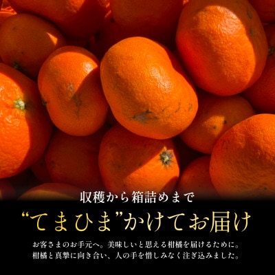 ãæ°ééå®ãä»ã·ãŒãºã³çºé!ãèš³ãããçå¹³ 2kgãC70-164ãã1710485ã