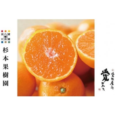 【家庭用】真穴、八寿みかん(早生温州)5kg【C34-38】【1692442】