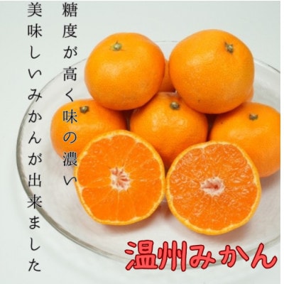 愛媛県八幡浜産 極甘みかん 10kg【G96-3】【1670805】