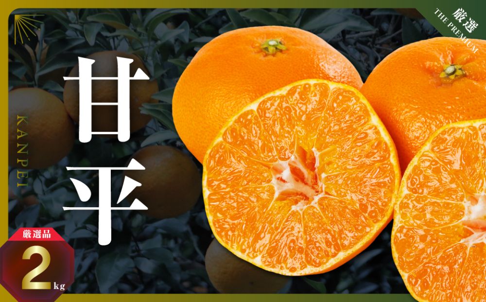 【愛媛限定】驚きの甘さ!幻の柑橘《甘平》2kg(M〜3L玉混合)【D31-55】【1660047】 YWTAC044