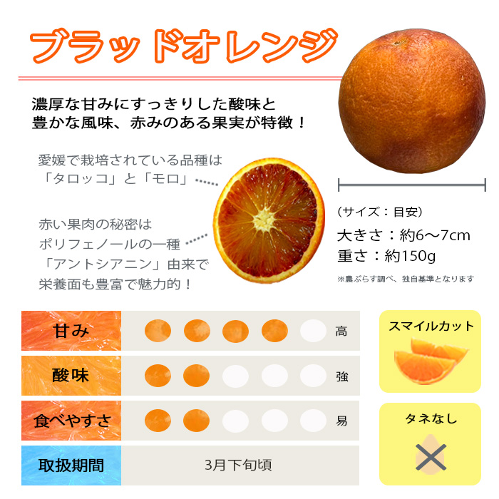 【先行受付】イタリア原産・紅色の果実!「ブラッドオレンジ」3.5kg入【C28-19】【配送不可地域：離島】【1069945】 YWTN012