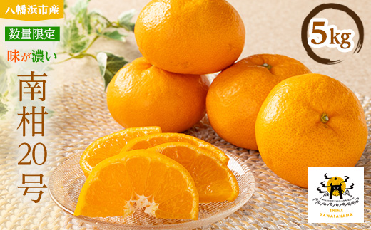 あまーい温州みかん(南柑20号みかん)5kg[数量限定]【C56-7】【1128575】