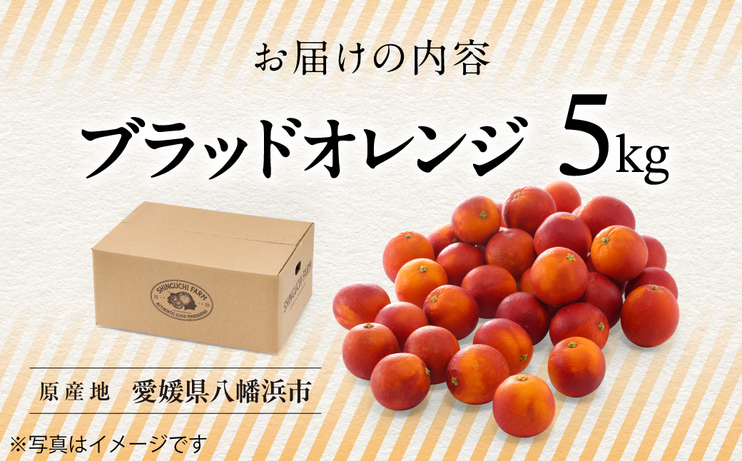 【太陽の恵みをギュッと凝縮】ブラッドオレンジ 5kg 愛媛県産【D70-18】【1470701】 YWTK018