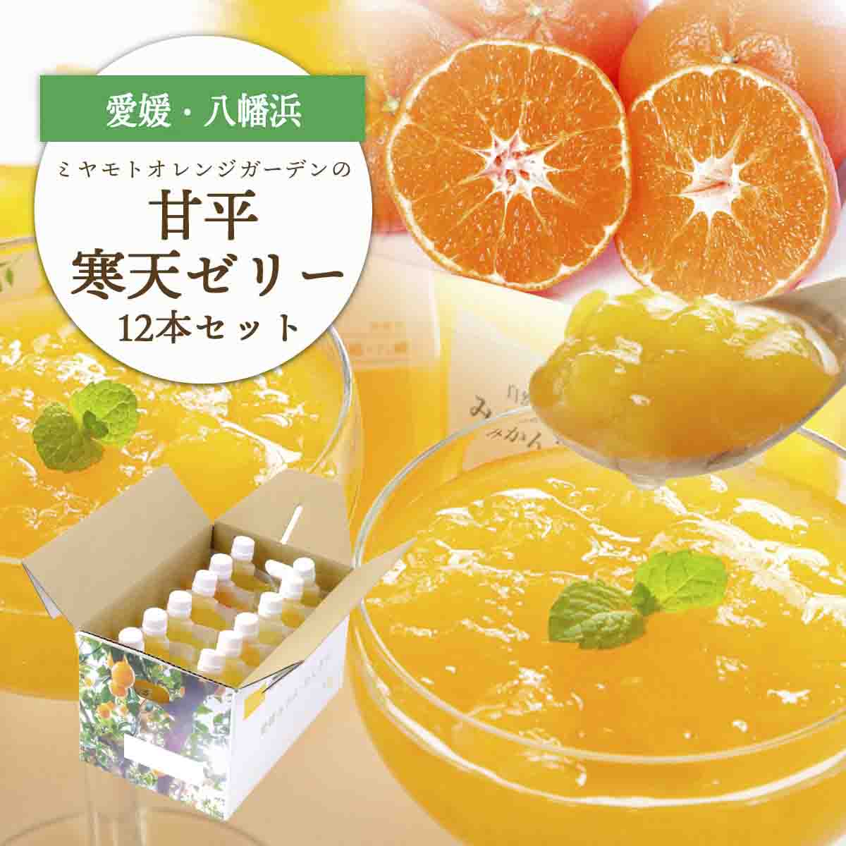 ゲル化剤・pH調整剤不使用!愛媛限定栽培品種 甘平(かんぺい)寒天ゼリー 12本【D25-226】【1629412】 YWTAP167