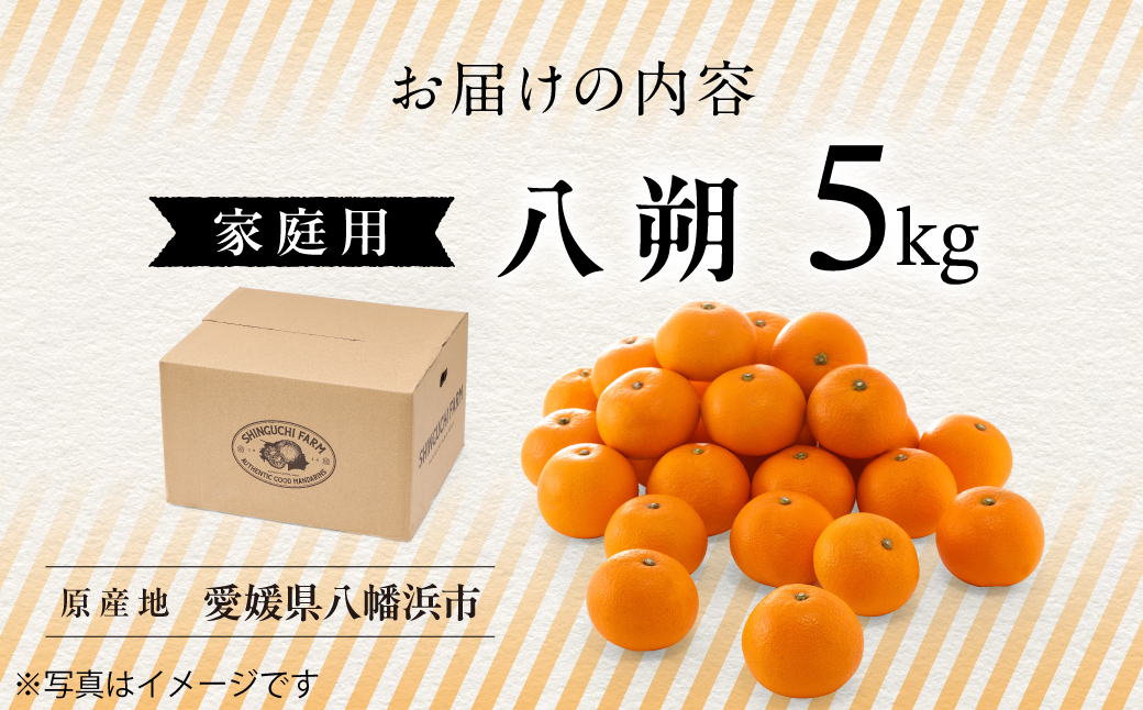 縲仙、ァ莠コ縺ョ蜻ウ繧上>縲大ォ譛 5kg縲弱&縺」縺ア繧翫→縺励◆逕倥∩縺ィ縺サ繧崎協縺輔上燭70-28縲代1470659縲 YWTK028