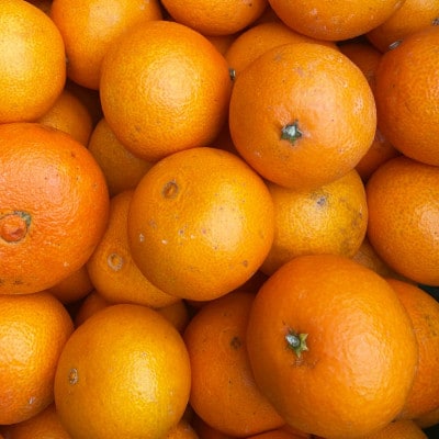 ããå®¶åºçšãçå¹³ÃãŸã©ã㪠4kg ãå®¶åºçšãçŽ
ããªã³ã»ã¹ããšååçš® æåªæè©Š48ãD25-318ãã1713694ã