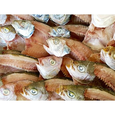 竹中水産の八幡浜発!「匠の干物三昧セット3kg前後以上(約20枚)」【H22-177】【配送不可地域：離島】【1060855】