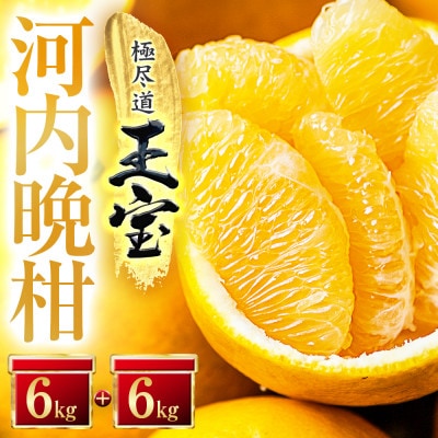 【愛媛名産】玉宝河内晩柑　12kg【F64-54】【1511222】