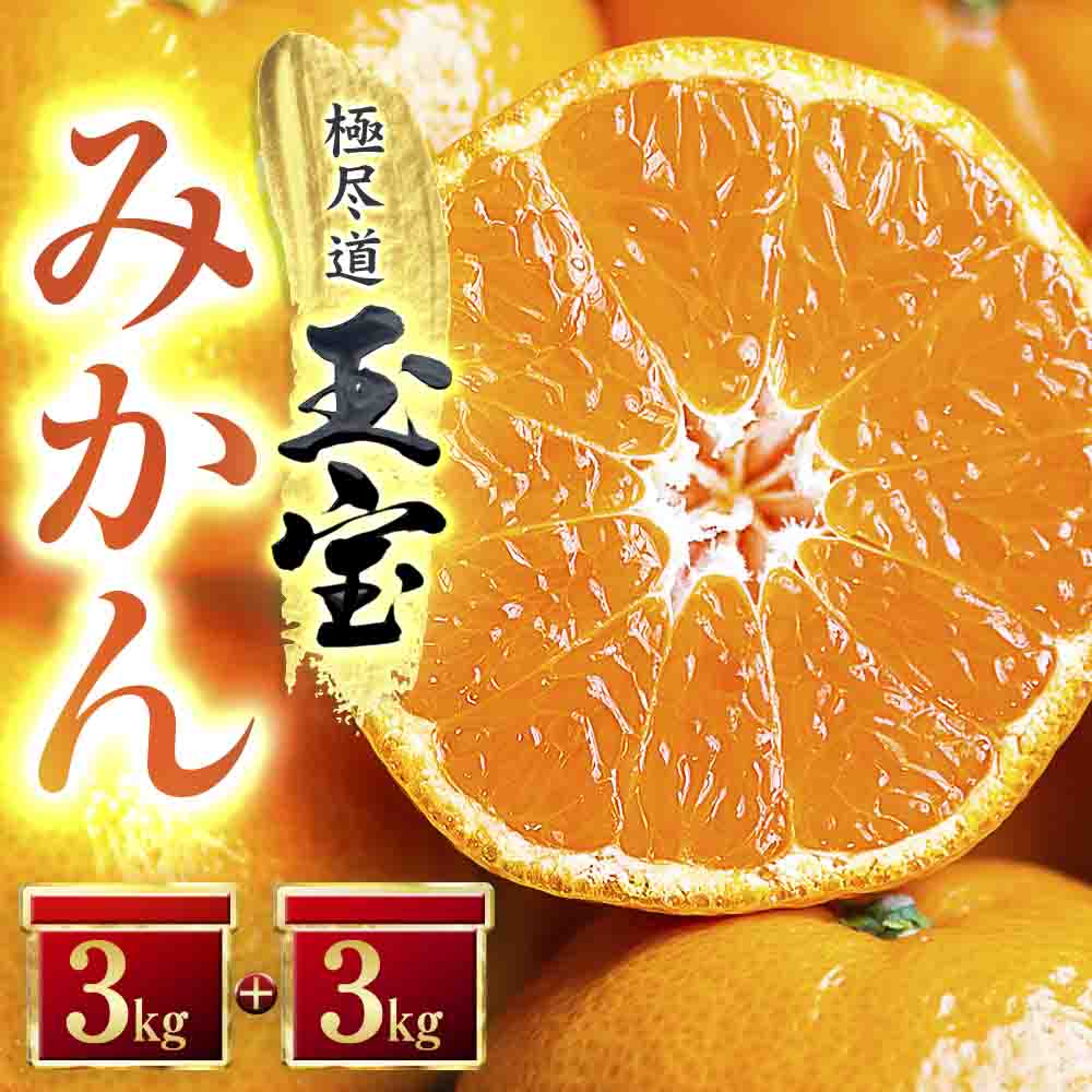 【愛媛名産】玉宝みかん(3kg×2箱)【D64-3】【1340915】 YWTY003