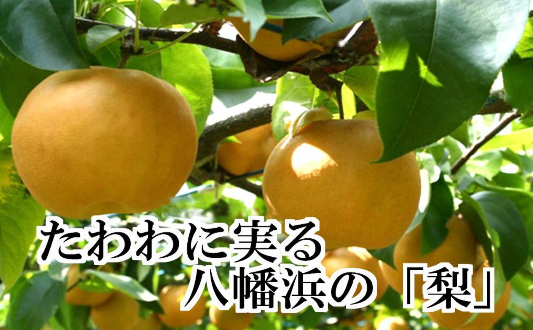 縲仙郁。悟女莉倥大ォ蟷。豬懊ョ譴ィ縲∵棡豎√◆縺」縺キ繧!!縲瑚ア頑ーエ縲4繧ュ繝ュ縲織39-37縲代宣埼∽ク榊庄蝨ー蝓滂シ夐屬蟲カ縲代1316567縲 YWTF017