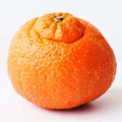 æåªã®é«çŽææ©ã®äžã€!ãçå¹³(ãããºã)ãçŽ2.5kgå
¥ãèš³ããããC28-41ãã1437357ã