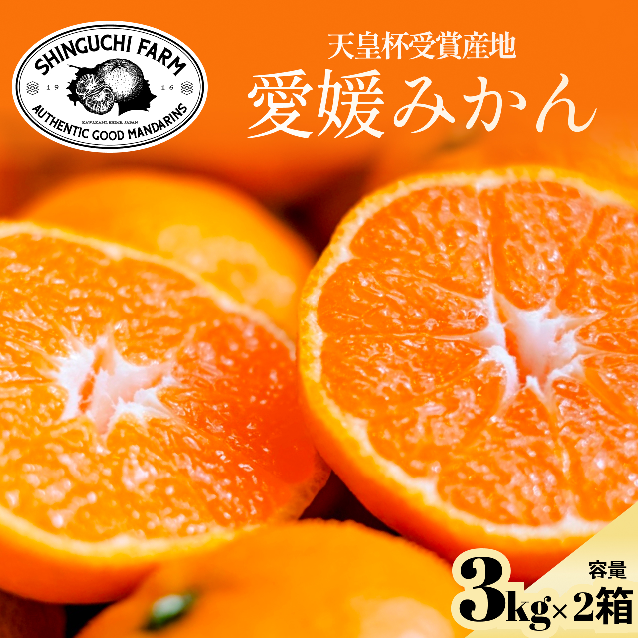 【太陽の旨みがギュッと凝縮】愛媛みかん3kg×2箱 農家直送 愛媛県川上産【D70-32】【1536240】 YWTK032