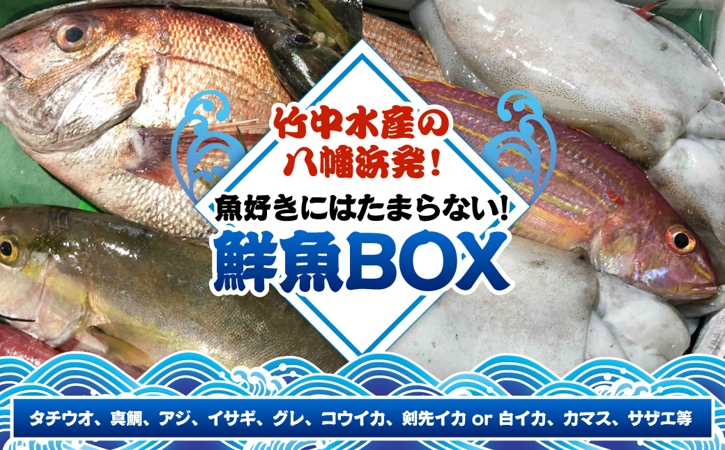 ç«¹äžæ°Žç£ã®å
«å¹¡æµçº!ãé奜ãã«ã¯ããŸããªã!é®®éBOXããF22-135ããé
éäžå¯å°åïŒé¢å³¶ã»åæµ·éã»æ²çžçãã1043165ã YWTM002