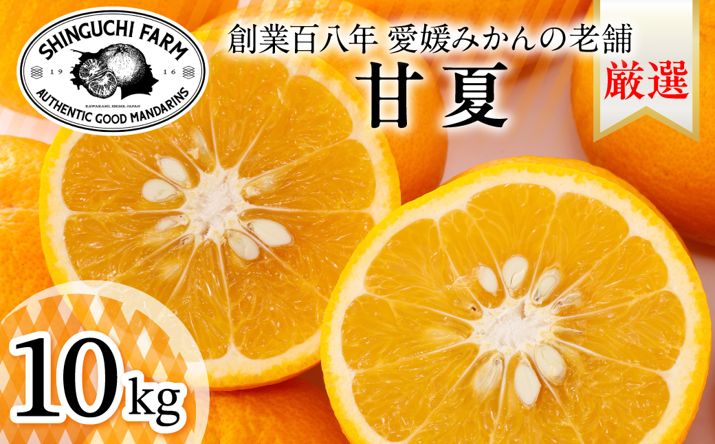 【木成り完熟】甘夏 10kg 『ほのかな苦味とスッキリした甘み』【E70-27】【1470661】 YWTK027