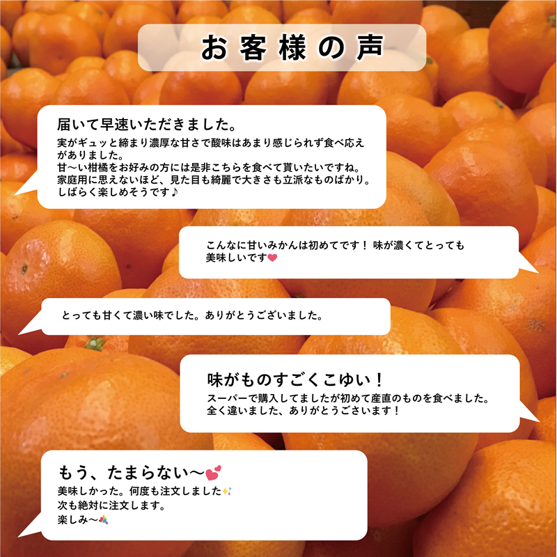 【甘みが濃縮されたみかん】愛媛で育った夕やけみかん【極】3kg【C49-25】【1508877】 YWTZ017