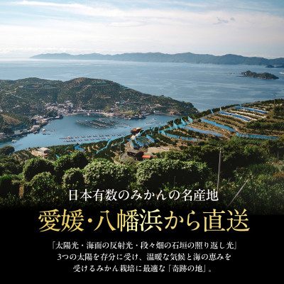 【太陽の恵みをギュッと凝縮】伊予柑3kg 愛媛県産【C70-72】【1615841】