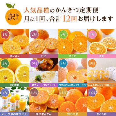 ãçºéæåºå®å®æäŸ¿ãæåªã®äººæ°åçš®ãå³éž!ã¿ããå®æäŸ¿(èš³ãã)ãH25-171ãå
š12åãé
éäžå¯å°åïŒé¢å³¶ãã4056289ã