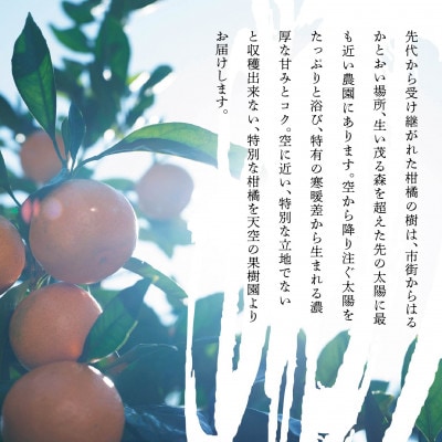 å€©ç©ºã®ææš¹åããå±ã ãããŸã©ããª(3kg)ãèš³ããããC95-5ãã1668478ã