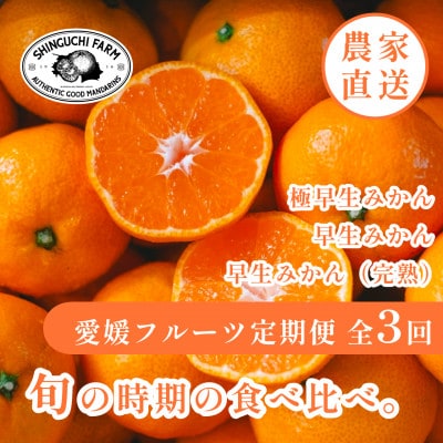 【発送月固定定期便】「時期による味の違いを楽しむ」愛媛みかんの旬を食べ比べ【F70-82】全3回【4067807】