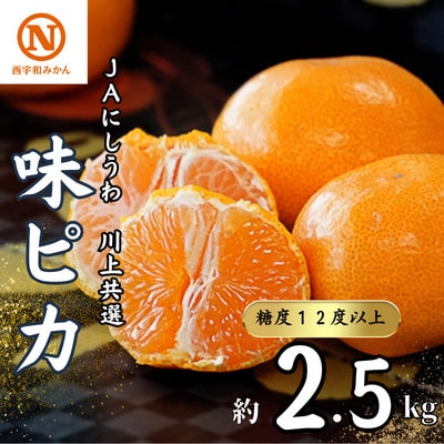 JAにしうわの季節の柑橘(川上共選　味ピカ2.5kg)【C08-78】【1510453】