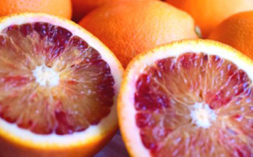 小林果園のブラッドオレンジ(約5kg)【C24-24】【1124430】