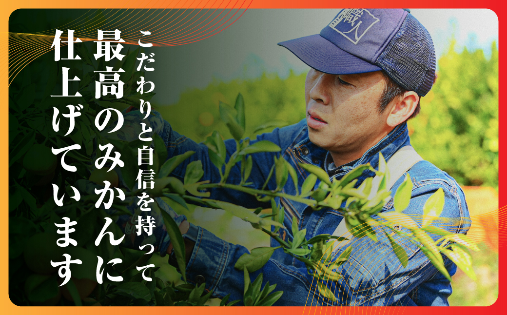 三代目の【頂みかん】7.5kg【E31-48】【1573267】 YWTAC037