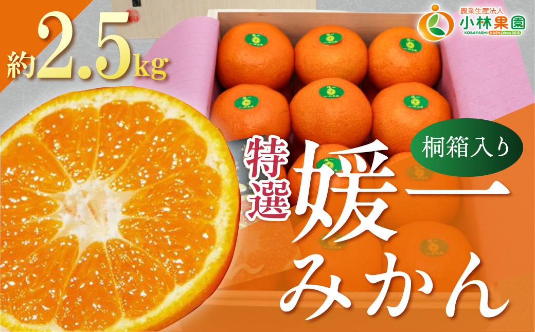 【先行受付】桐箱入り・媛一みかん(2.5kg)【D24-4】 YWTAD002