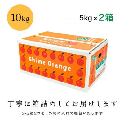 【糖度14.0以上酸1.4以下】糖酸選別品 愛媛産 訳あり不知火(しらぬひ)10kg【F20-63】【配送不可地域：離島】【1620233】