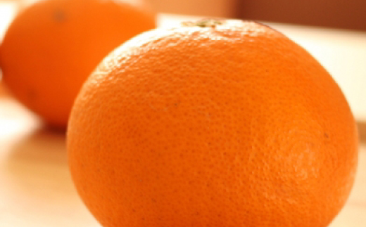 å°ææåã®æž
èŠ(çŽ5kg)ãC24-25ãã1124431ã