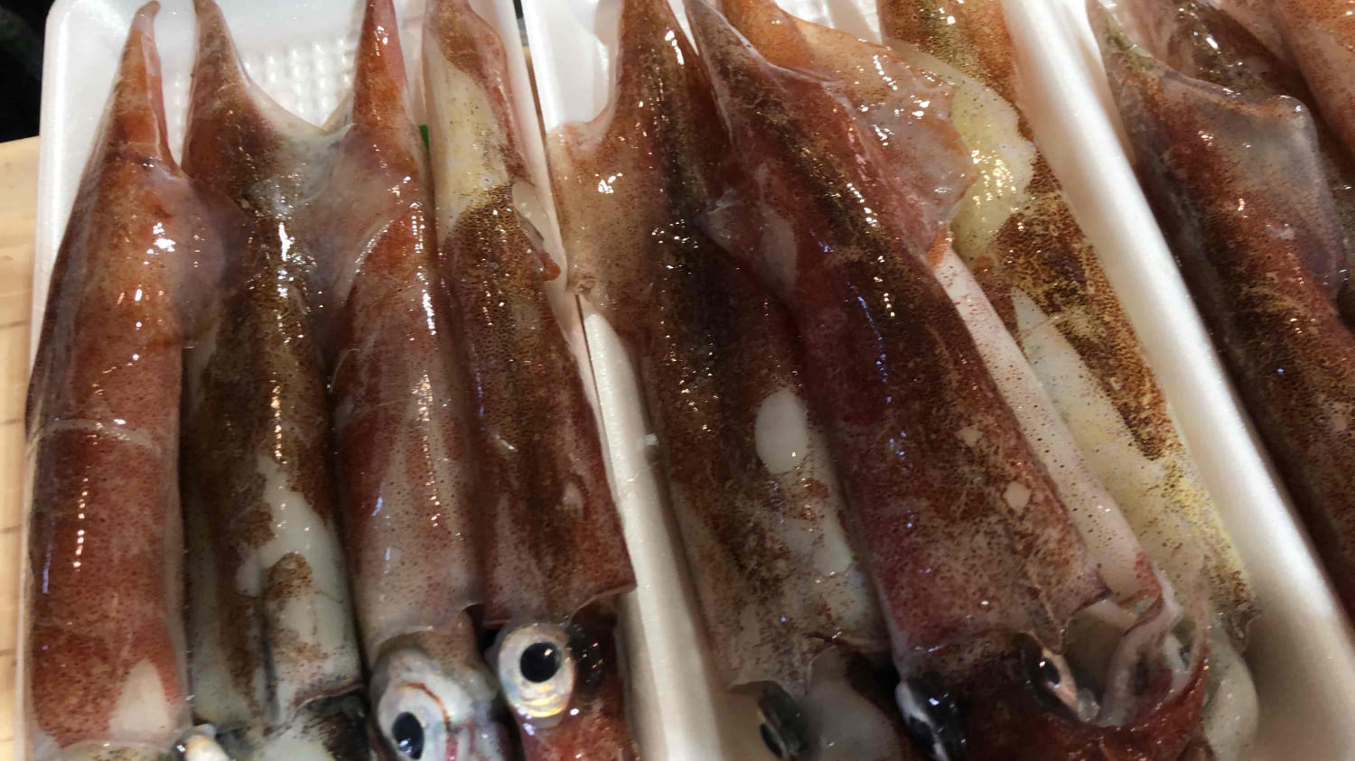 【冷凍便】八幡浜発!「白イカ(剣先イカ)」ドカーンと2kg!【F22-210】【配送不可地域：離島】【1043151】 YWTM028