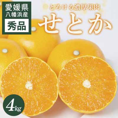 【先行受付】 せとか 4kg 愛媛県 八幡浜市 西宇和地区 とろける濃厚果肉 柑橘の女王【E25-326】【1714494】 YWTAP267