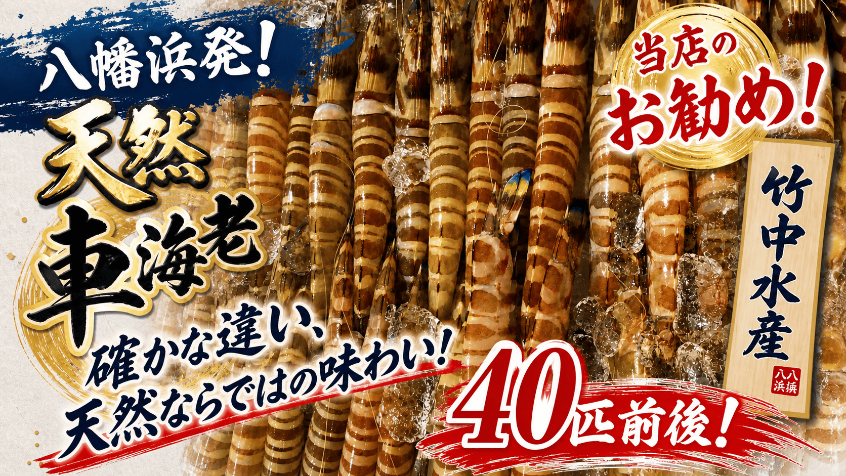 八幡浜発!竹中水産の「天然車海老中ぶりで40匹前後」【H22-222】【配送不可地域：離島】【1047025】 YWTM040