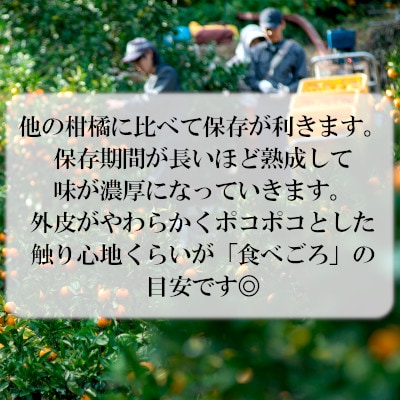 ãçæãœãããã5kg/2LãŸãã¯Lãµã€ãº/ãC79-22ãã1474166ã