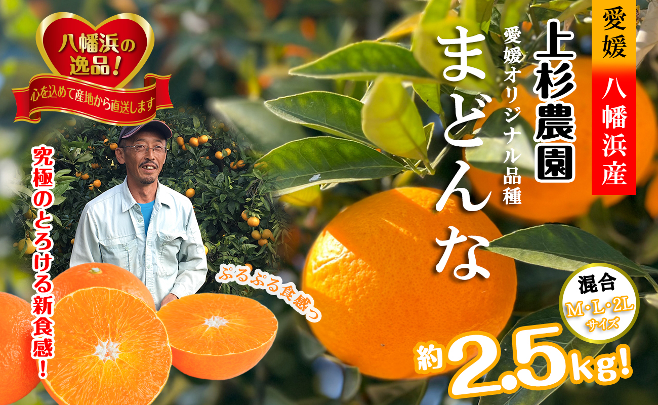 【先行受付】こんな柑橘はじめて!!上杉農園のぷるぷる新食感!!「まどんな」約2.5kg【D39-67】【配送不可地域：離島】【1619931】 YWTF042